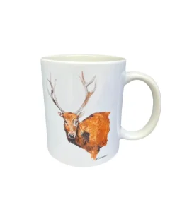 BMPaterDavidshertPNG